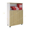 Tủ tài liệu thấp FT12CD
