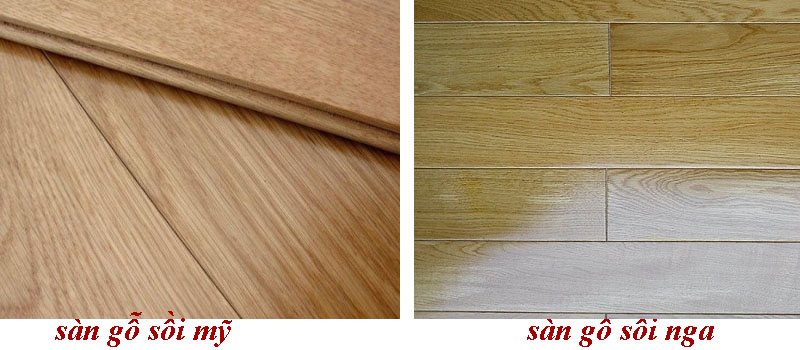Gỗ sồi Nga và gỗ Sồi Mỹ dễ phân biệt dựa vào màu sắc và đường vân gỗ