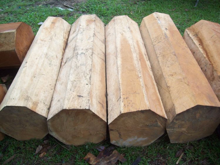 Cách tính toán mét khối của gỗ rất đơn giản