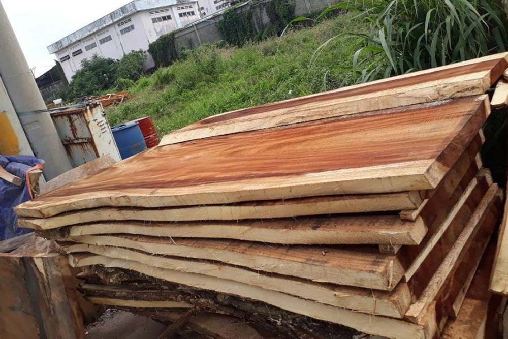 Đây là loại gỗ lâu năm, dễ bị mối mọt, không có mùi đặc trưng