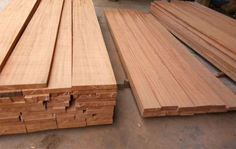 Cây Xoan Nhừ là cây gỗ lớn, rụng lá vào mùa khô với chiều cao từ 15 - 25cm