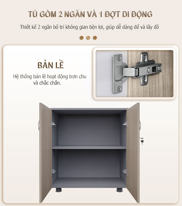 Bản lề và đợt di động tủ tài liệu thấp FMT878D