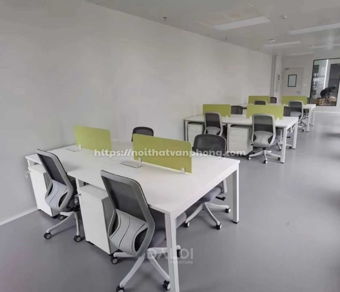 Hình ảnh thực tế ghế lưới công thái học FMX616 tại công trình